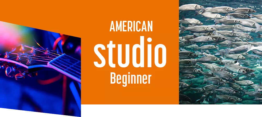 American STUDIO Beginner